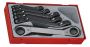 Teng Tools TTRORS 6 Piece RORS Wrench Set